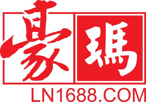 沈阳豪玛网络科技logo
